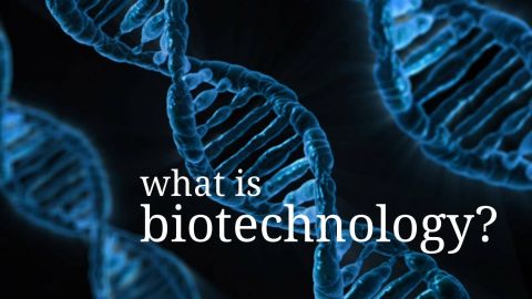 what is biotechnology logo